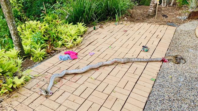 Evan Thompson says his son Clifford was attacked by a carpet python at their Airlie Beach home. Picture: Evan Thompson