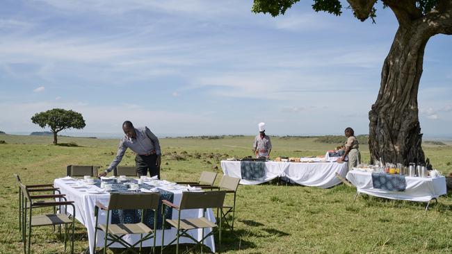 Lunchtime setting in the Masai Mara National Reserve.