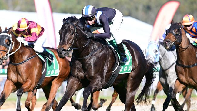 Exciting Adam Campton-trained galloper Deepour wins on Ipswich Cup Day. Picture: Grant Peters, Trackside Photography