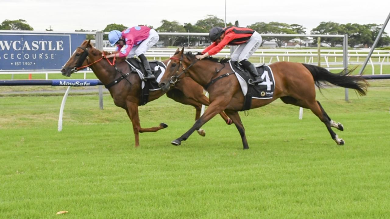 Kimberley Moon (left) will appreciate a drop in grade and can bounce back to winning form. Picture: Bradley Photos