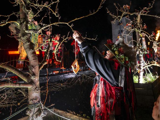 Willie Smith's Midwinter Festival 2024 at Huonville - Wassail. Picture: Caroline Tan