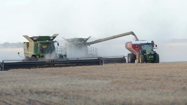 Lentil harvest at Ultima.