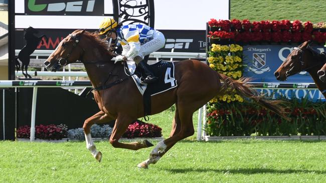 Monster Of Energy wins a race at Eagle Farm. Photo: Natasha Wood, Trackside Photography.