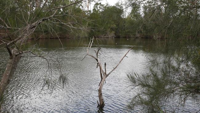 Cases of the Ross River virus have also risen. Picture: AAP Image