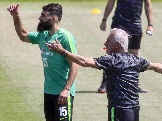 Australia's coach Bert van Marwijk (R) and midfielder Mile Jedinak talk tactics during training. Pic: AFP