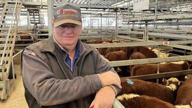 Rod Potter from Corcoran Parker at Wodonga was buying cattle to send to Mudgee at the Wodonga store cattle sale.