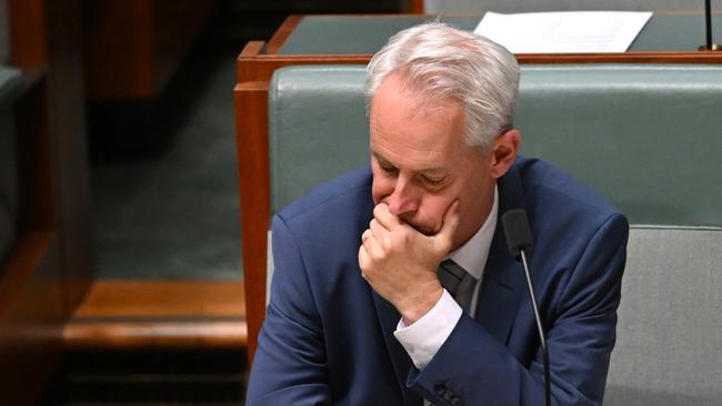 Immigration Minister Andrew Giles in question time on Wednesday. Picture: AAP