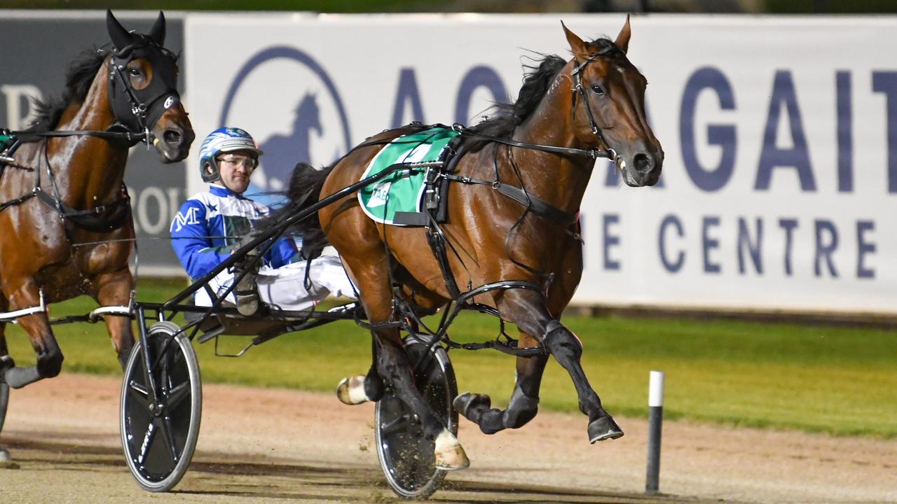The Belinda McCarthy-trained and Luke McCarthy-driven King Of Swing winning his opening Inter Dominion heat at Menangle on November 27. Picture: Courtesy of Club Menangle