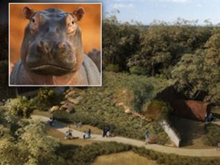 Hippo farts cause big stink for  new zoo