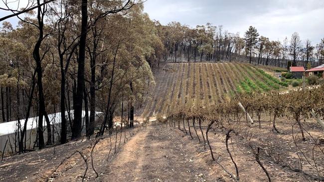 A fire-damaged Beal &amp; Co winery and vineyards after the Cudlee Creek bushfire. It is hoped that SA’s wine industry will benefit from a new free trade deal with post-Brexit UK. Picture: Callum Beal