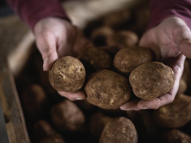 Potato grower Terry Buckley and his mother, Fay, on their Buckley Farms property at Pleasant Park SA, where they also run 10,000 crossbred Primeline ewes. Pictures: Nicole Cleary