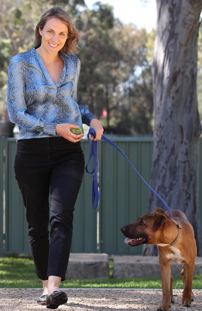 Doctor Liz Arnott is the chief vet at RSPCA NSW. Picture: David Swift