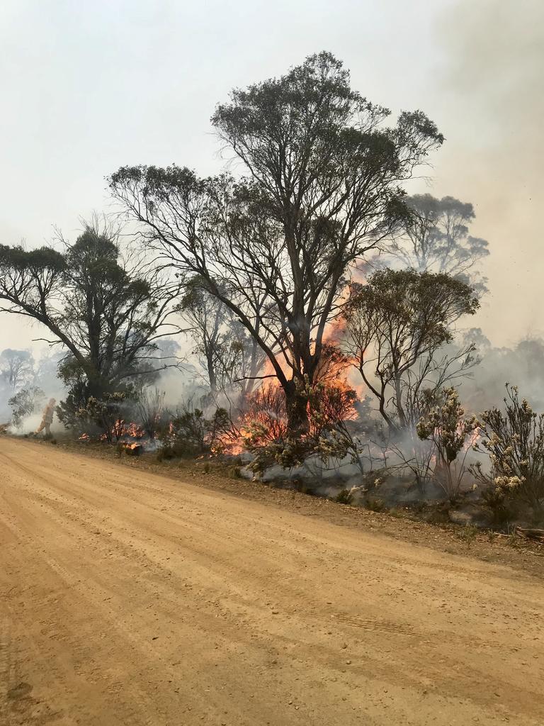 Firefighters at work battling blazes in Tasmania's Central Highlands. Picture: Tara Felts