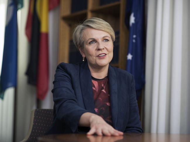 Tanya Plibersek defended the use of Shaquille O'Neal to give his support to the voice.