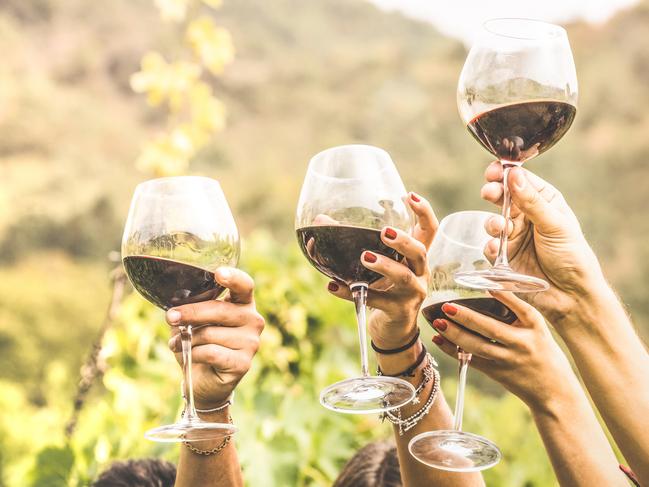 ESCAPE:  Hands toasting red wine glass and friends having fun cheering at winetasting experience - Young people enjoying harvest time together at farmhouse vineyard countryside - Youth and friendship concept Picture: Istock