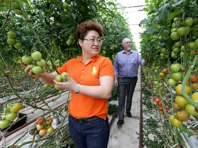 Sally Zou and Jim Kelly, managing director of Adelaide based agricultural organisation Arris.