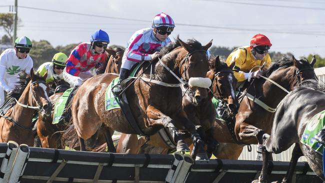 Chains Of Honour won the Galleywood Hurdle at Warrnambool on Wednesday. Picture: Vince Caligiuri/Getty Images