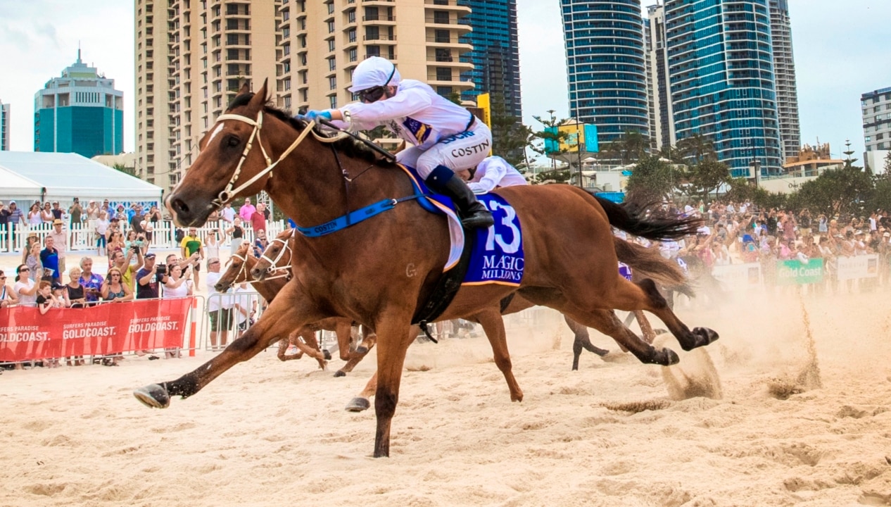 Magic Millions event 'place to be'