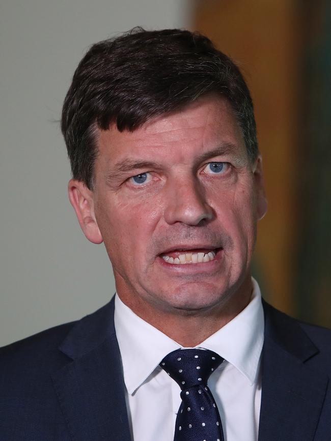 Energy Minister Angus Taylor.