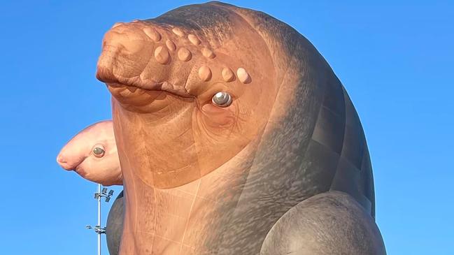 One of Patricia Piccinini’s Skywhale hot air balloons rose up at Ballarat's Eastern Oval, but did not leave the ground. Picture: Julianna Addison MP/Facebook.