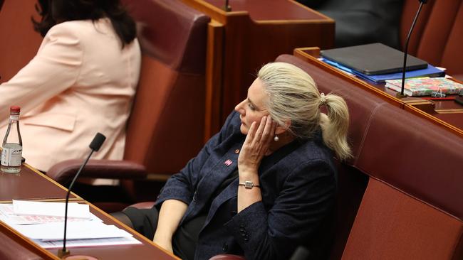 Insulting: Senator for New South Wales Hollie Hughes. Picture: NCA NewsWire / Gary Ramage