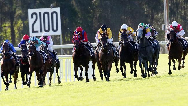 Gosford Races will light up again.