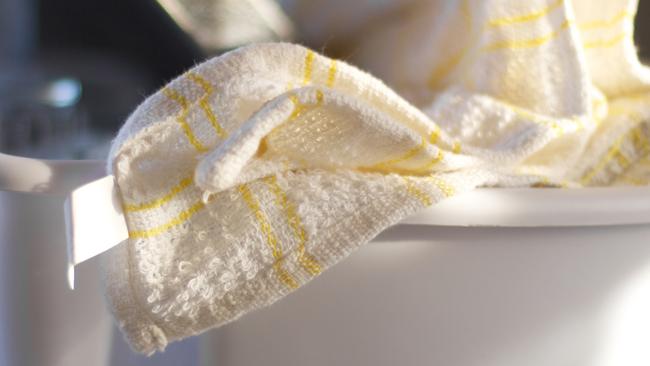 What bacteria is growing on your kitchen towels?