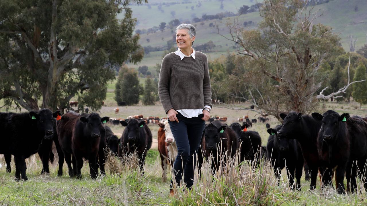 Stock take: Cattle producer Gillian Sanbrook on her Bowna property, where she aims for complete ground cover, adjusting stocking rate for the sake of soil health. Pictures: David Geraghty