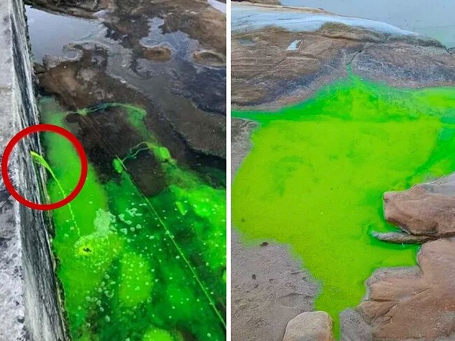 Fluorescein in Cronulla. Picture: Facebook.