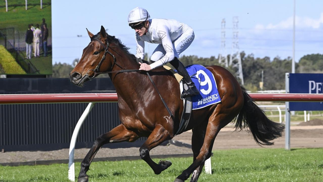 Kembla tips: Gal set to provide plenty of Cheer