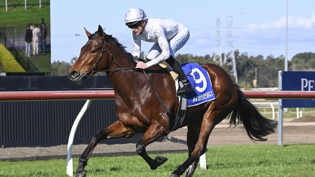 Cheergal is a winner at Kembla looks hard to beat second-up. Picture: Bradley Photos