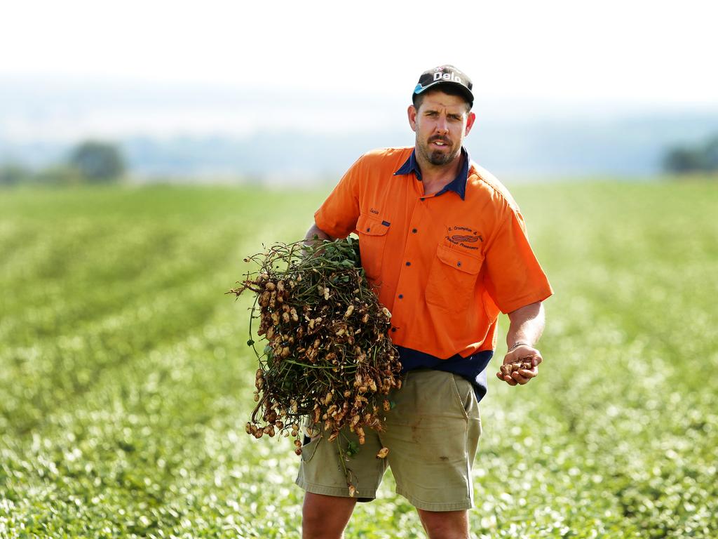 Peanut Grower Sonie Crumpton at his farm at Crawford near Kingaroy. Pic Mark Calleja