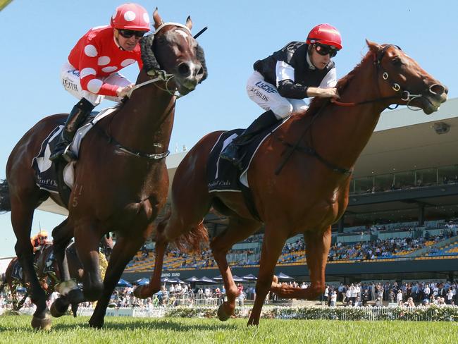 Written By (right) narrowly outguns Sandbar to win the Pago Pago Stakes. Picture: Getty Images