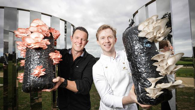 Wood championed Mornington Peninsula produce including Ryan Sharpley’s mushrooms. Picture- Nicole Cleary