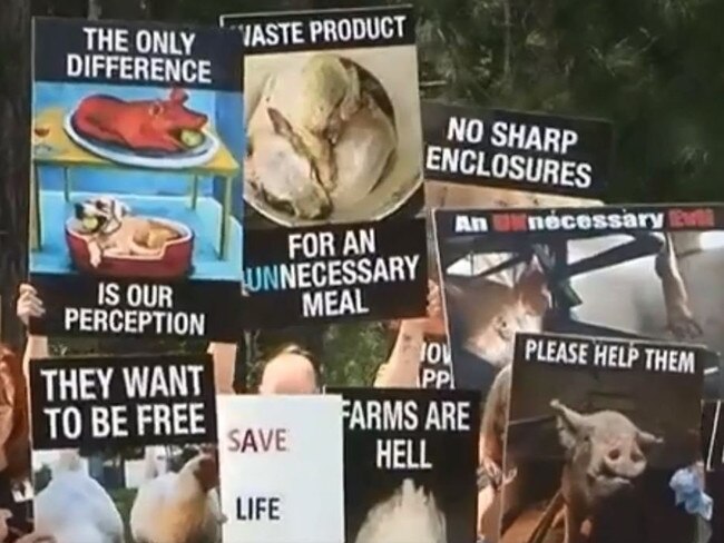 The protest outside a pig and poultry farm in Beerburrum.