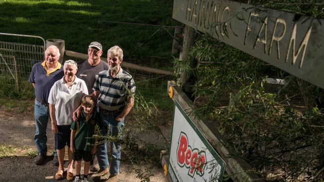 Haining Farm supplies milk to the Bega cheese company. Picture: Christopher Chan.