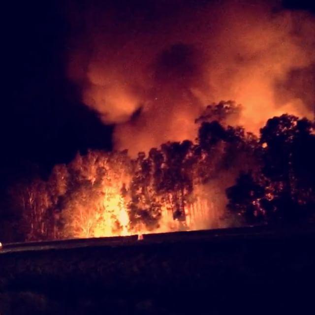 Firefighters Contain Bush Fire That Reaches Highway in Caloundra. Credit - Instagram/nikki_markovics via Storyful