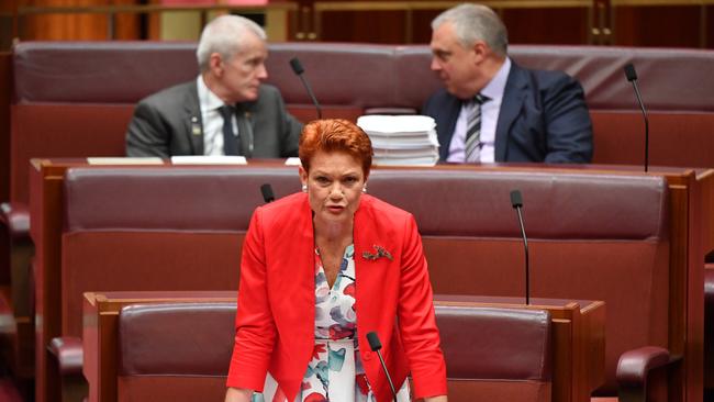 Pauline Hanson’s One Nation will likely determine whether the Morrison government passes amendments to the Australian Charities and Not-for-profits Commission Act. Picture: Getty Images.