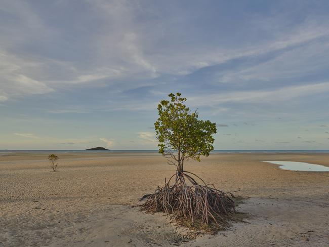 The Apudthama reserve is home to one third of Australia’s mammals, half of our birds and a quarter of our reptile and amphibian species. Picture: Derek Henderson