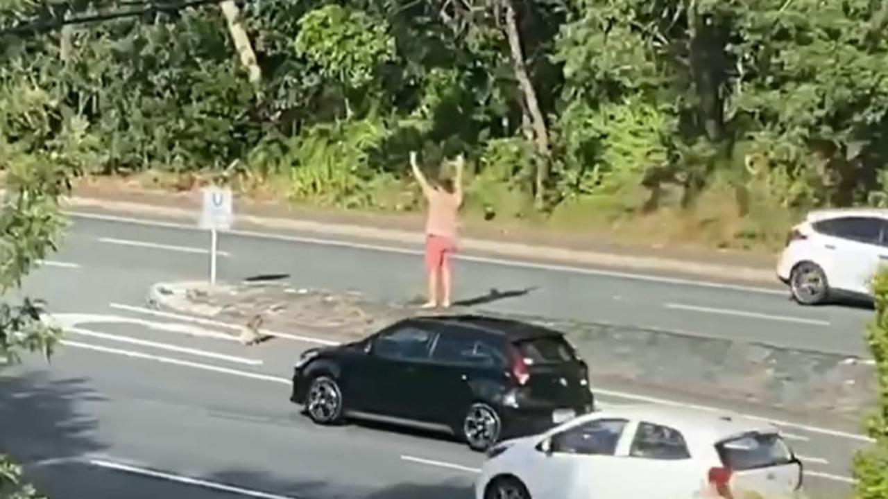 The koala needed to tackle four lanes of busy Gold Coast traffic. Picture: Facebook