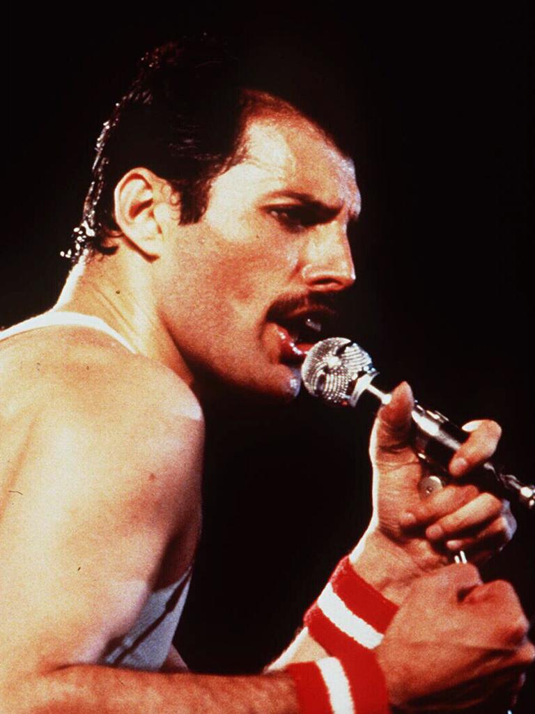 Freddie gave his daughter 17 volumes of his personal journals before he died. Picture: Supplied