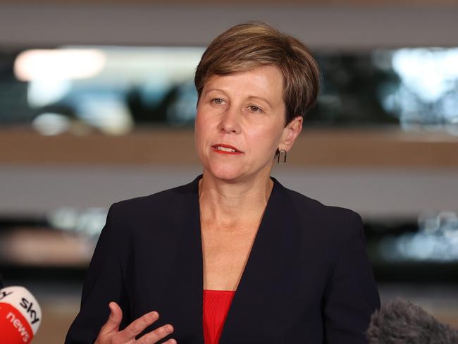 Assistant Minister for Climate Change and Energy Jenny McAllister. Picture: NCA NewsWire / Sarah Marshall