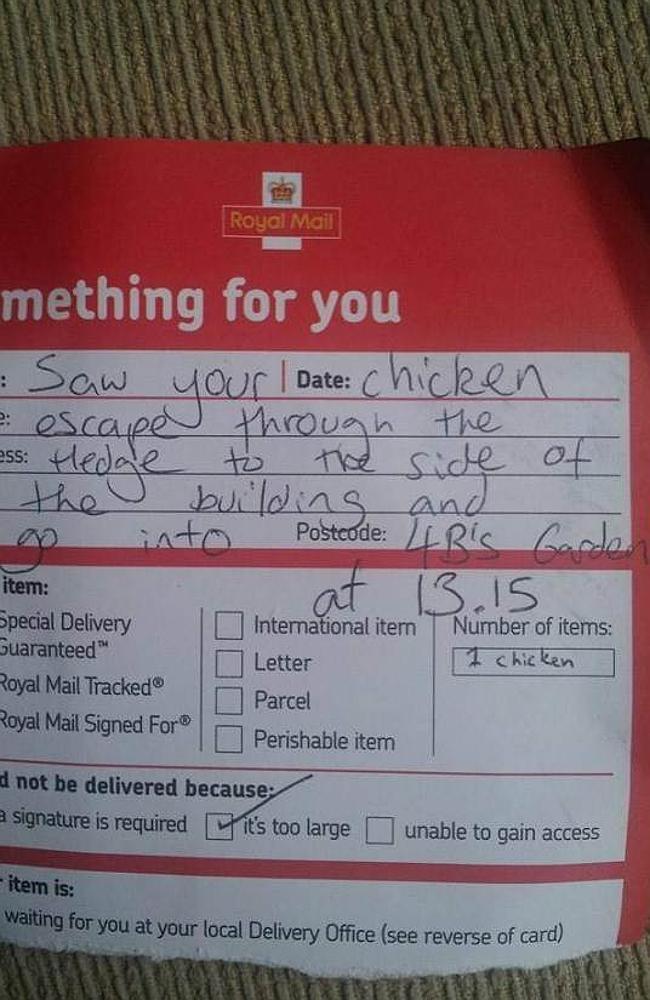 Number of items: 1 chicken. Picture: IMGUR