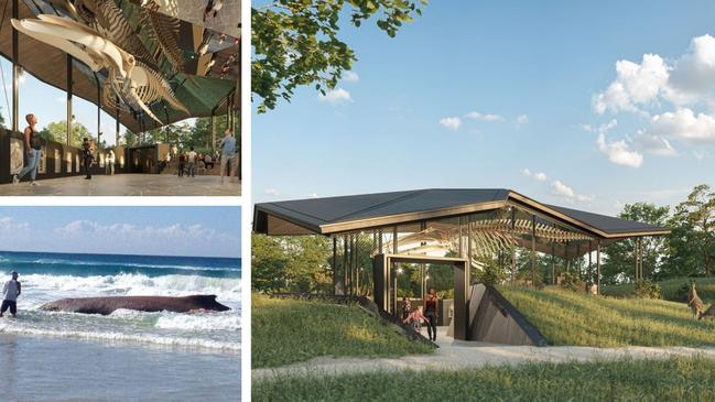 An artist’s impression of the proposed whale watching hub at Point Lookout and a whale washes up on the beach at North Stradbroke Island in 2012, a year after humpback whale which will feature in the facility.