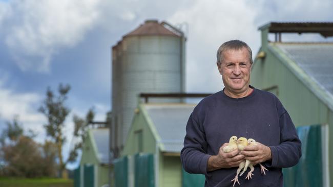 Allan Bulleen in front of his chicken sheds. Picture: Zoe Phillips