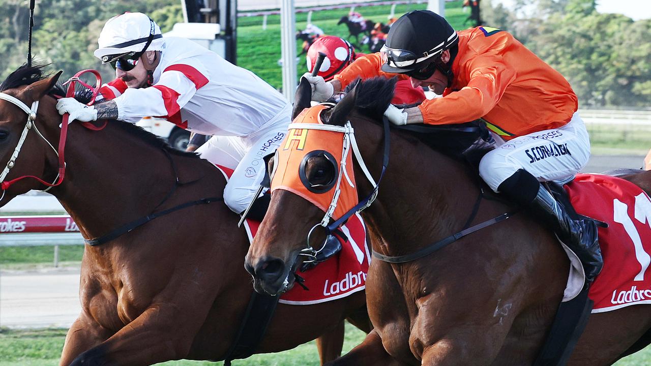 Cairns punters get set for ‘Super Carnival’ in 2025