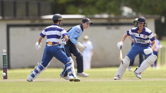 Hamwicks batters in a mix-up. Hamwicks v Newcastle City, SG Moore Cup round three at Kahibah Oval. Picture: Sue Graham