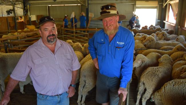 Last hurrah: Trial entrant Graham Reid, of Wallambee, Tallimba, NSW, with Tim Westblade, of Pastora Merinos, Lockhart, NSW, at the Peter Westblade Memorial Merino Wether Challenge final shearing for the 2016-18 trial. Picture: Jamie-Lee Oldfield