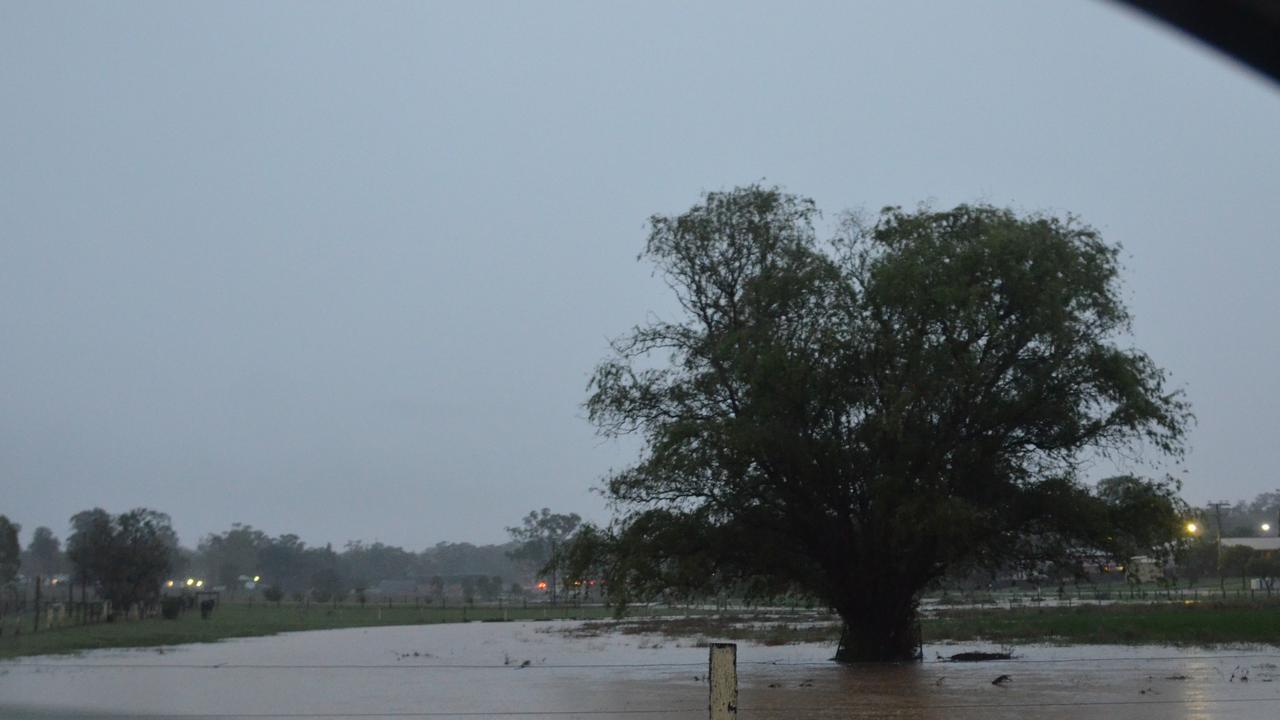 UNDER WATER: A submerged tree on Dragon St /Tessa Flemming