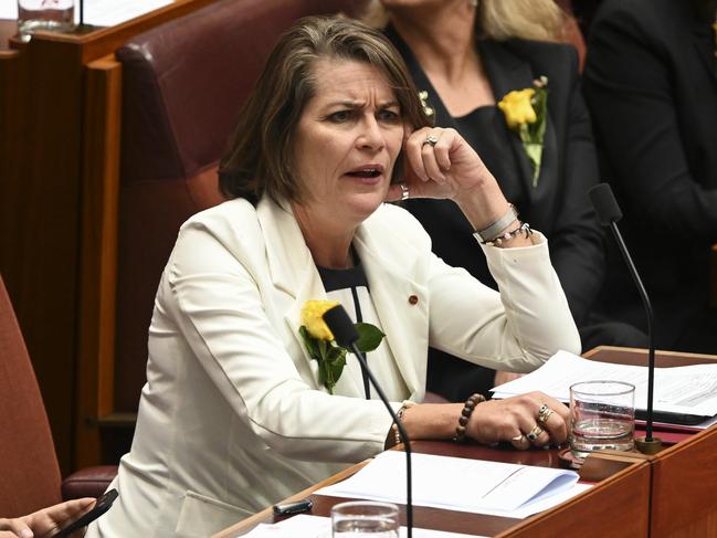 Senator Perin Davey. Picture: NCA NewsWire / Martin Ollman